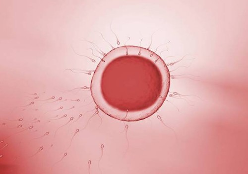 北京代生代怀机构：﻿男性精子原因导致的不孕不育，做供精试管需要多少钱?