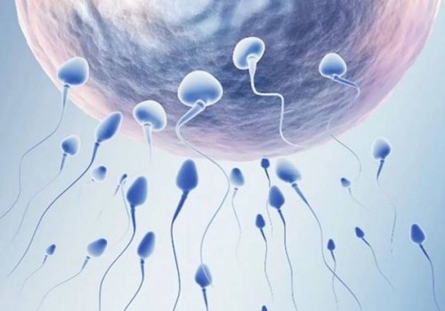 北京代生代怀机构：﻿两次三个月流产还能怀孕吗？流产两次后的小孩能要吗