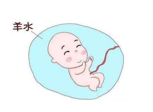 自然周期取卵对卵巢有害？问题不大
